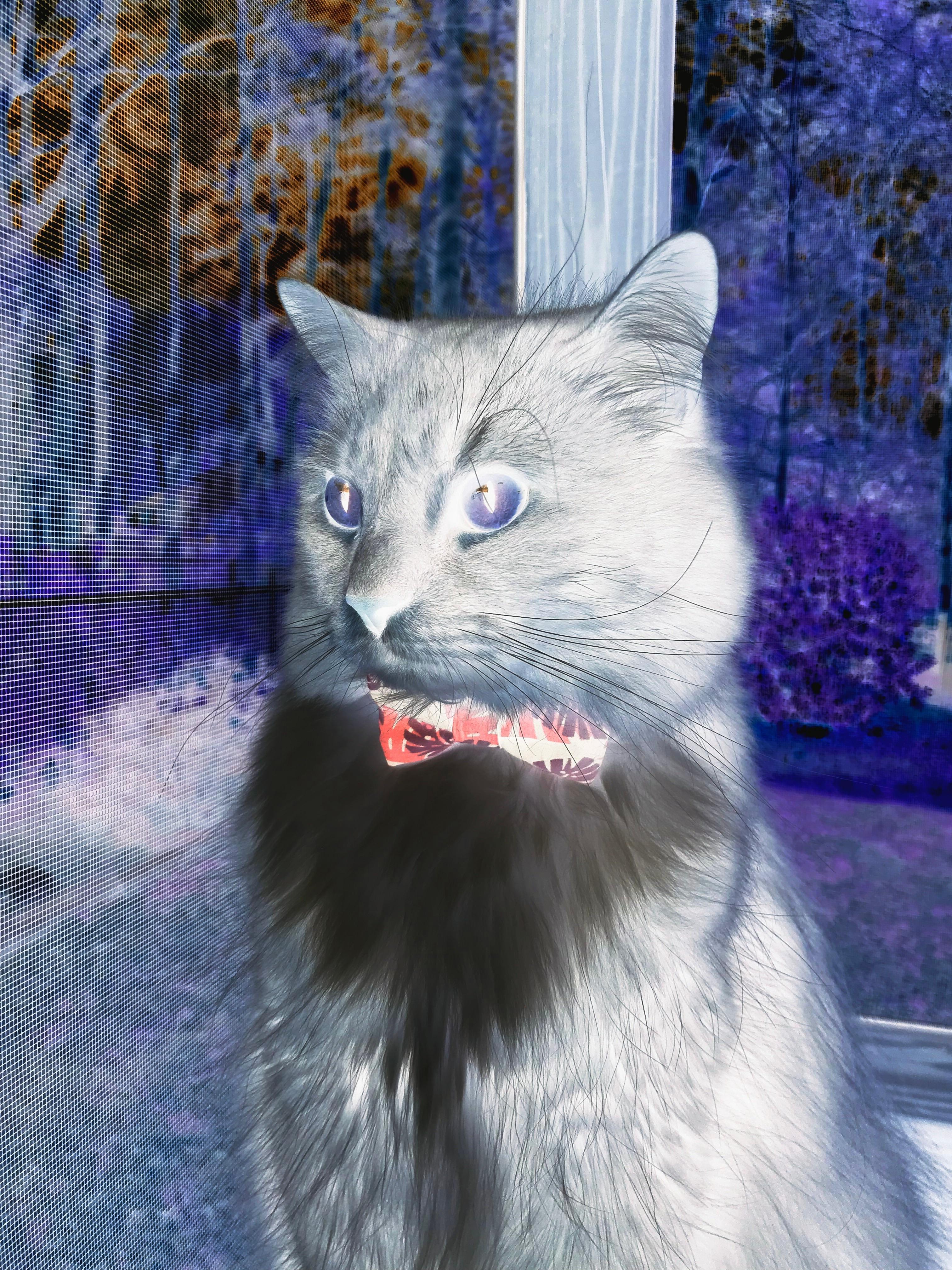 【冠军之心】丁俊晖:面对压力的最佳心态管理方法,丁俊晖励志