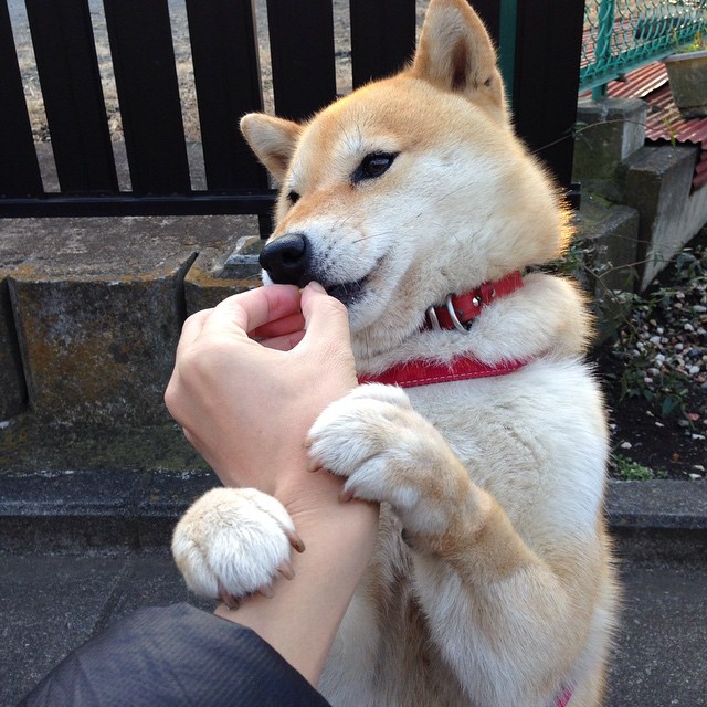 上海“篮球文化节”助推全民体育热情,上海篮球青少年比赛