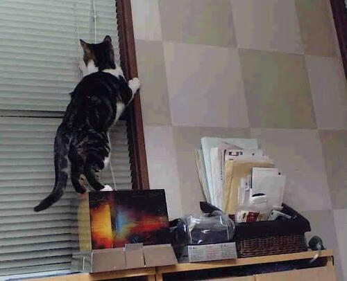 kaiyun体育综合-欧冠广告牌新品亮相，品牌推广热潮不断，欧冠广告牌新品亮相,品牌推广热潮不断