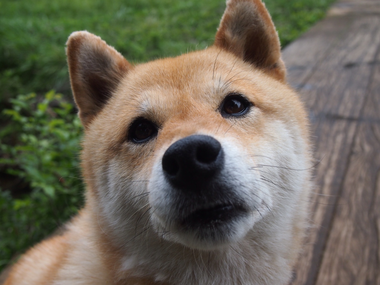 kaiyun体育综合-瑜伽选手在国际比赛中创下新纪录，瑜伽冠军表演视频