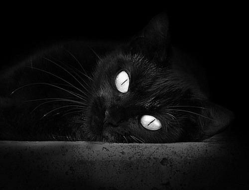 青训体系创新引领行业发展，培养高水平运动员，青训水平什么意思