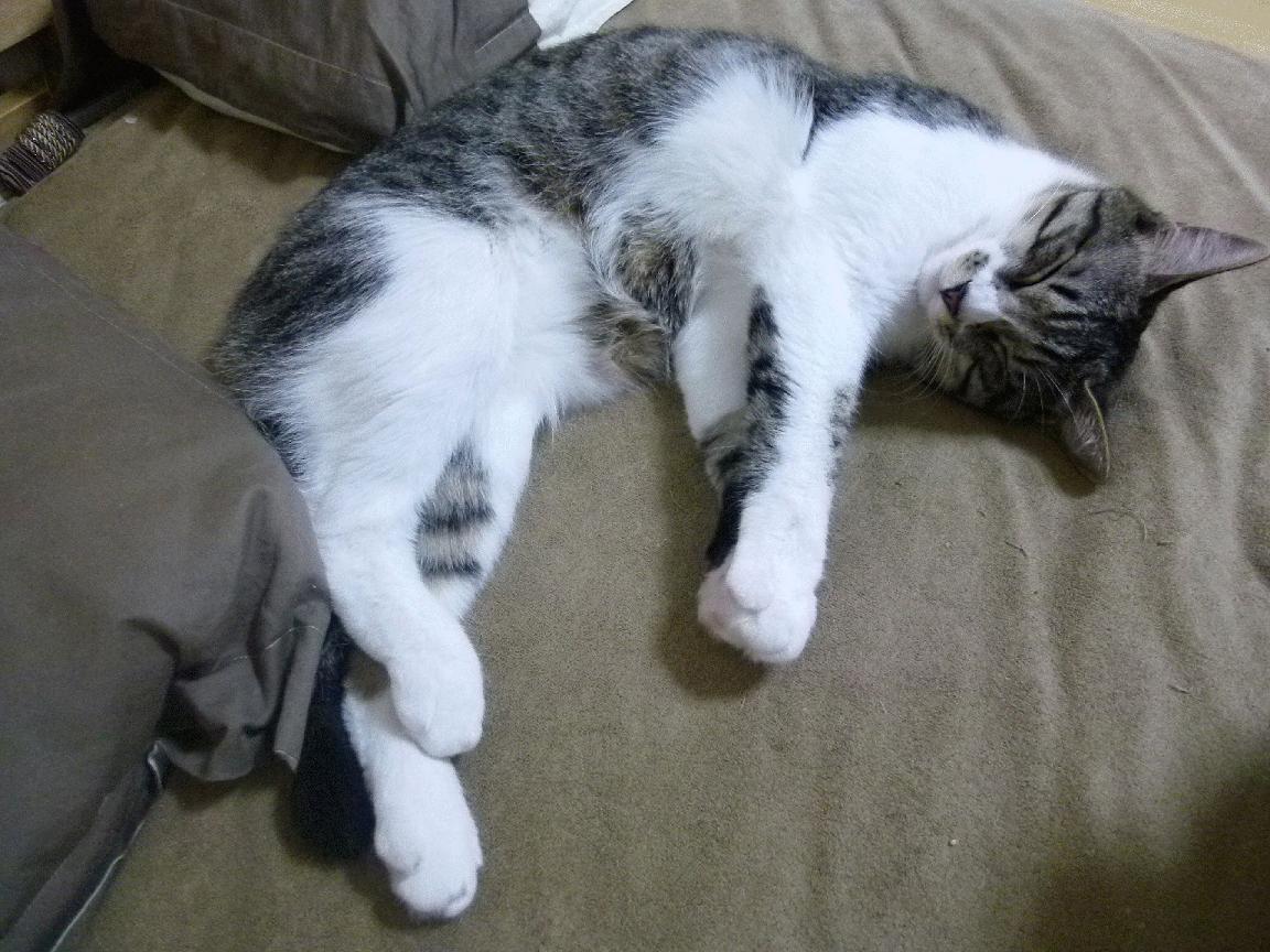 kaiyun登录入口-乌拉圭0-4不敌巴拉圭，世界杯预选赛遭遇首场失利，2030世界杯乌拉圭