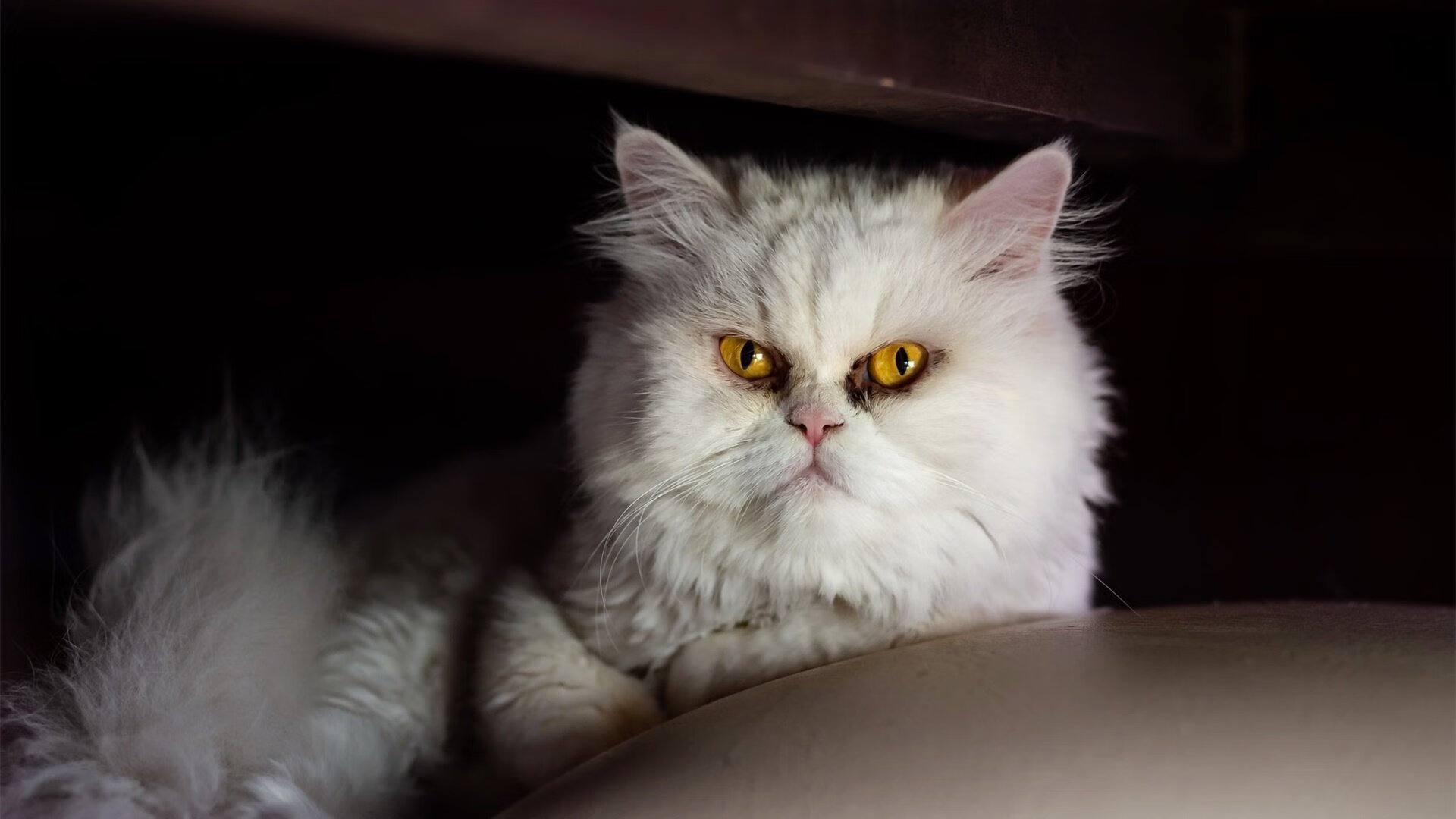 开云中国大陆-克洛普宣布离开利物浦，结束九年执教生涯，克洛普执教利物浦成绩